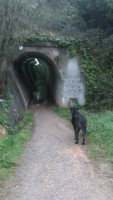 /album/nuevas/trabajo-tunel-jpg/